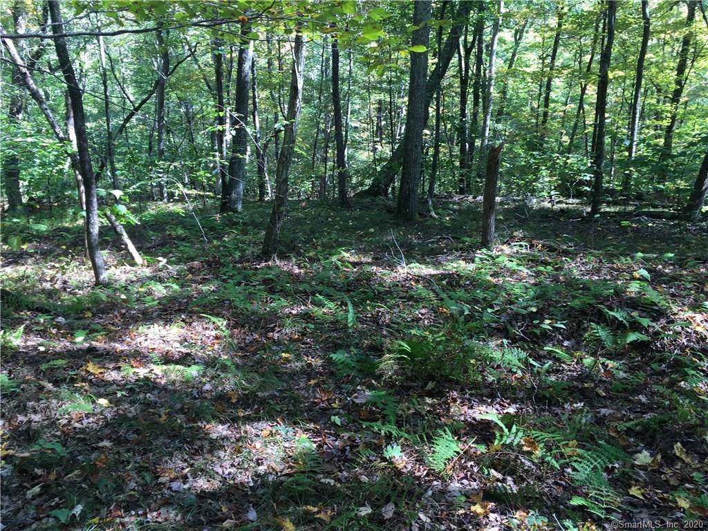 0 Silver Hill Road - Photo 1