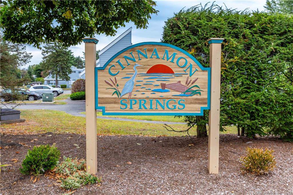 67 Cinnamon Springs - Photo 1