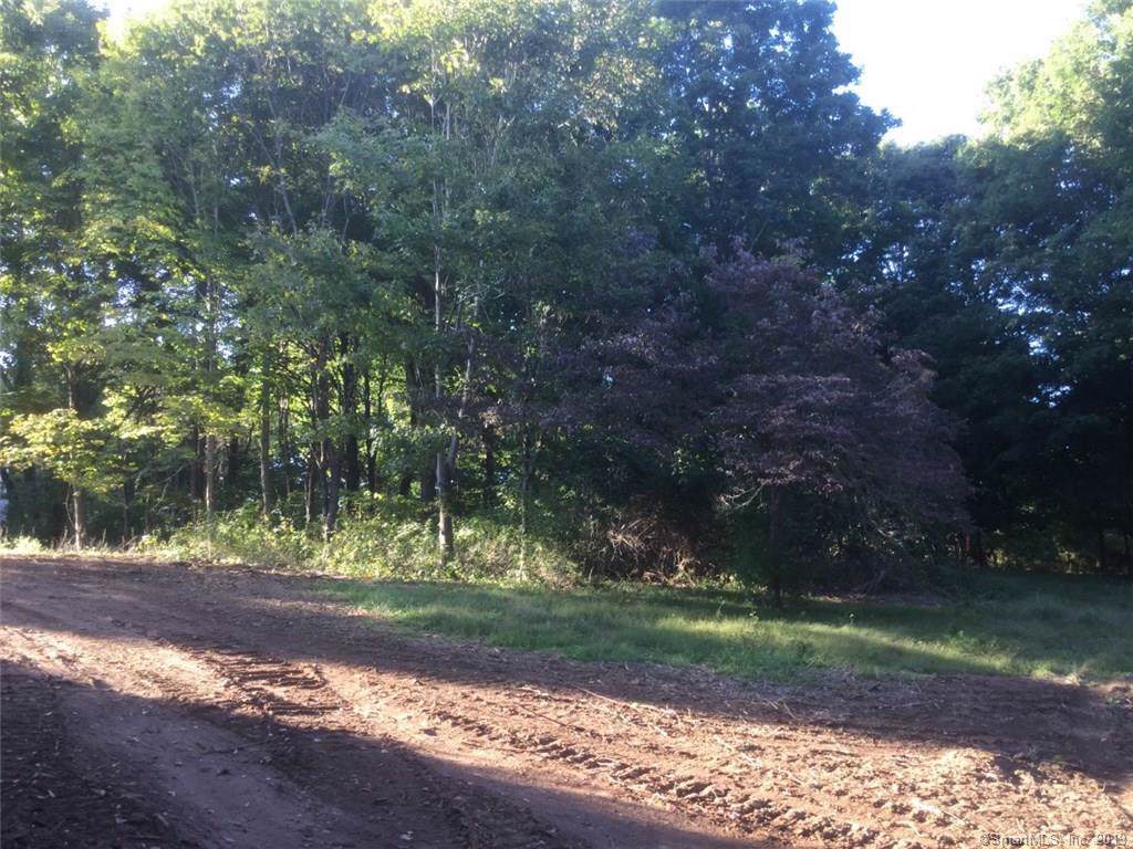 204 Jackson Hill (Rear Lot) Road - Photo 1