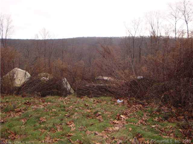 lot 17 Meshomasic Trail - Photo 1