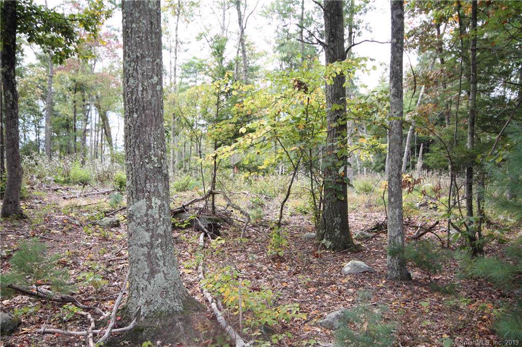 229 Old Monson Road - Photo 1