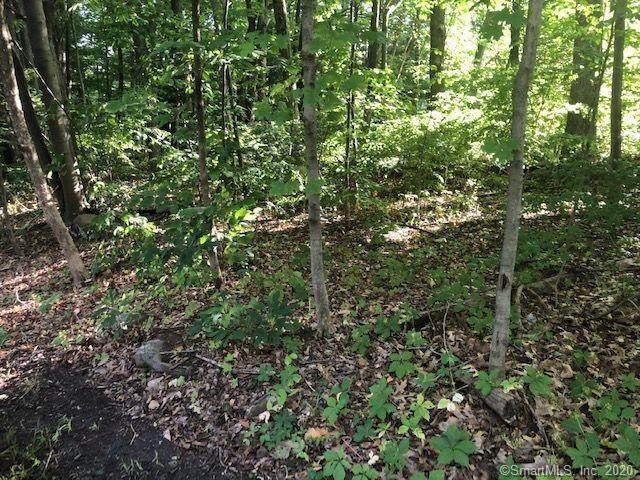 43 Lane Hill Road - Photo 1