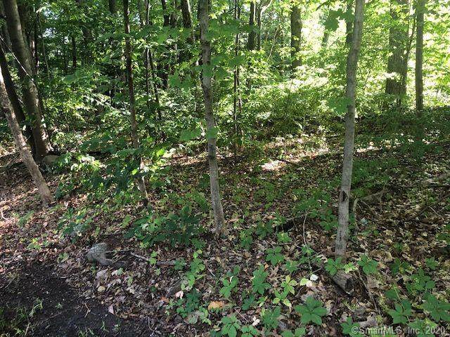 55 Lane Hill Road - Photo 1