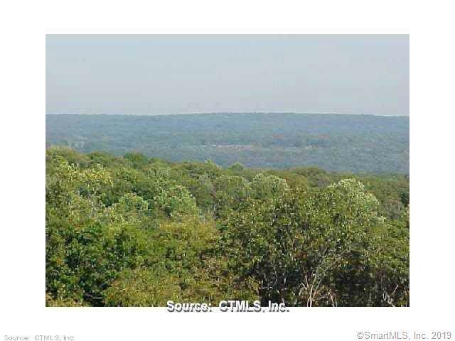 451 Plains Road - Photo 1