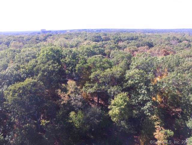 6 Doe Place - Photo 1