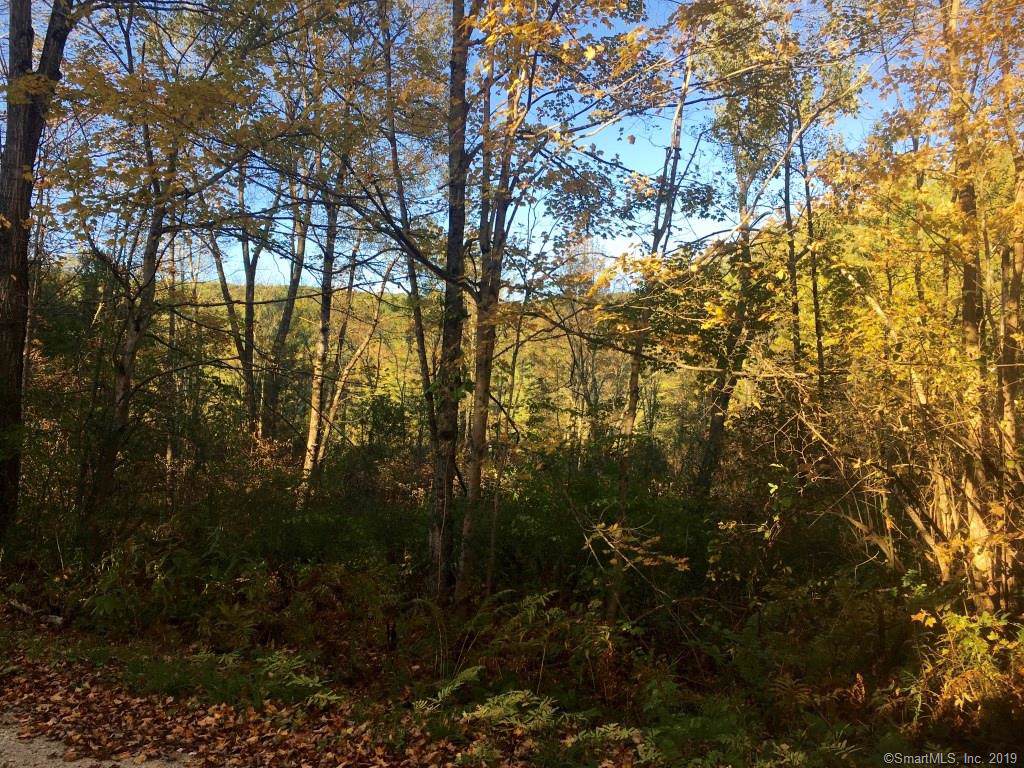 0 Cross To Canaan Valley Road - Photo 1