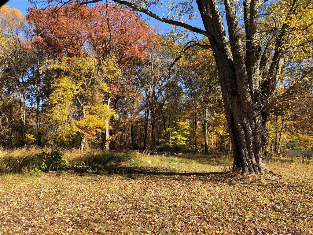 98 Middletown Avenue - Photo 1