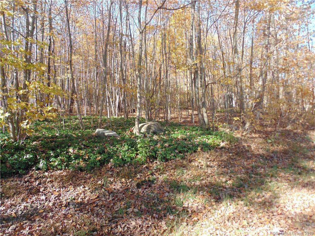 lot 6-9 Ashford Lake Drive - Photo 1