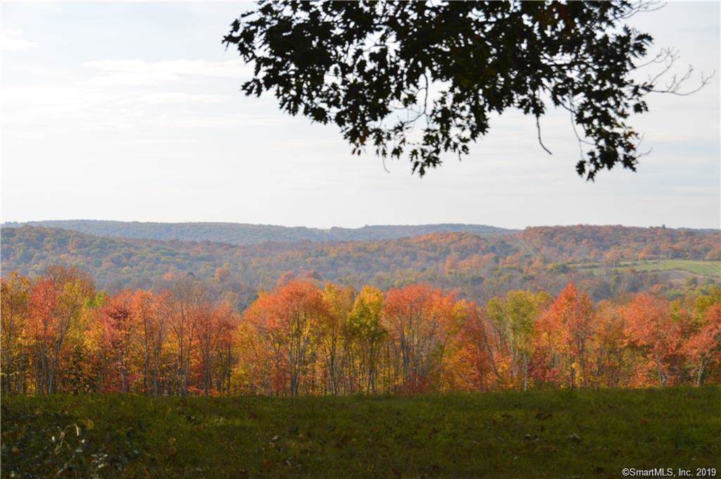 89 Quail Run Road - Photo 1