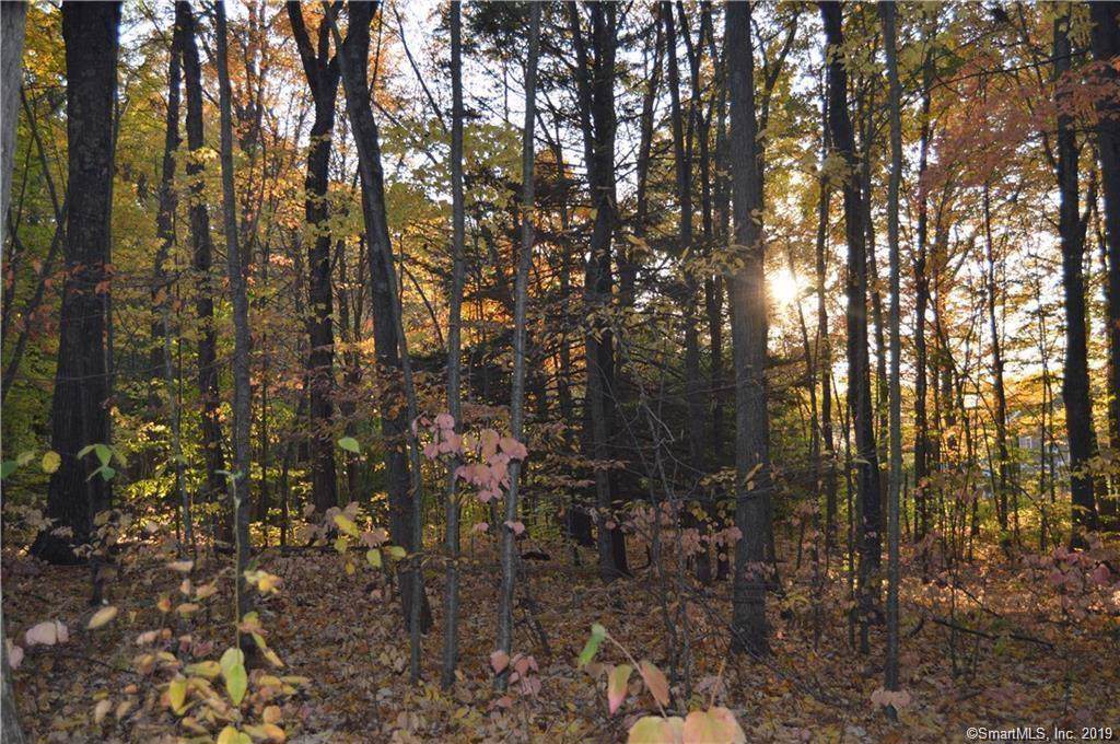 94 Quail Run Road - Photo 1