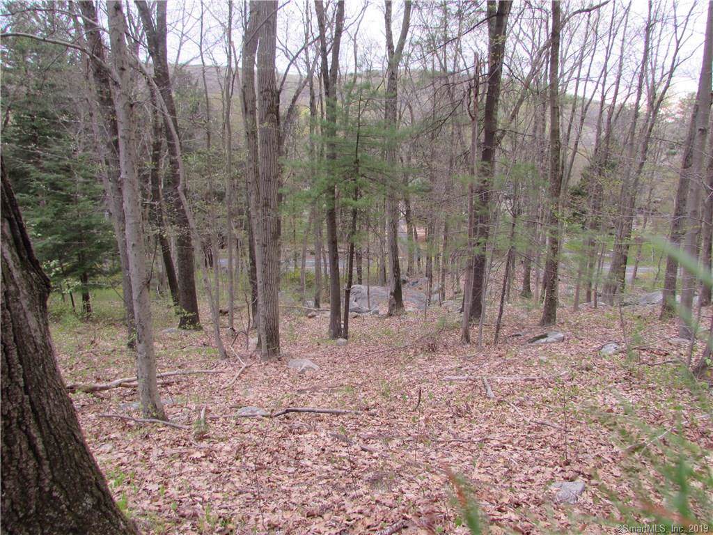 40 Turkey Plain Road - Photo 1