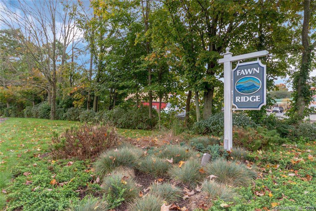 62 Fawn Ridge Lane - Photo 1
