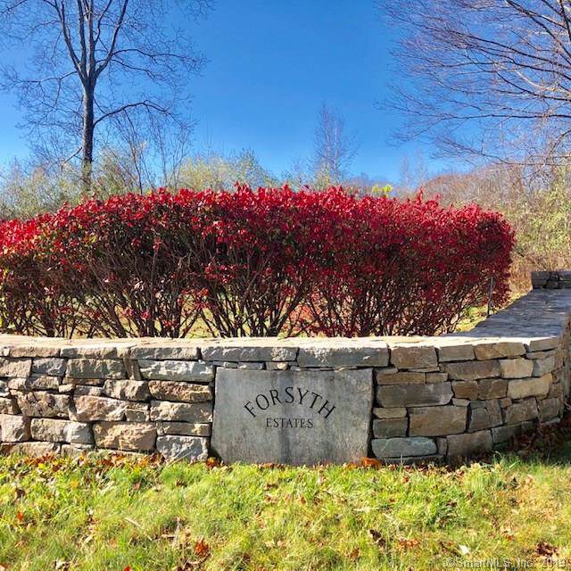 LOT 13 Syleo Lane - Photo 1