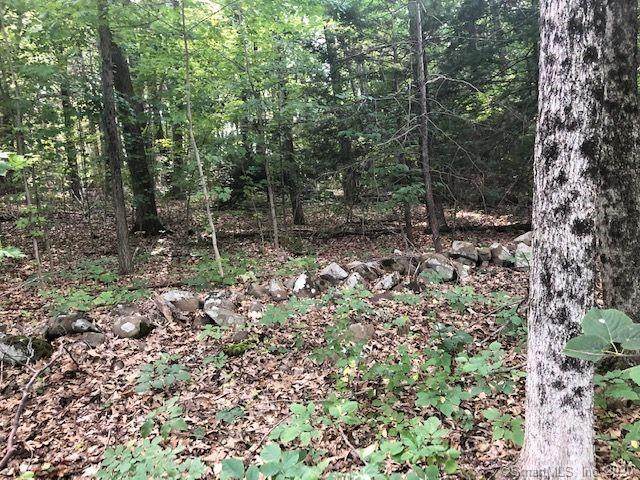 65 Lane Hill Road - Photo 1