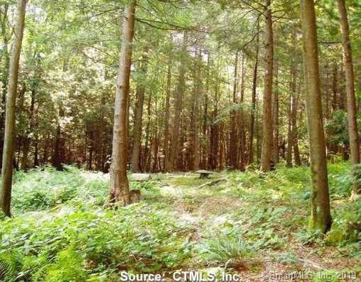 61 Cedar Mountain Road - Photo 1