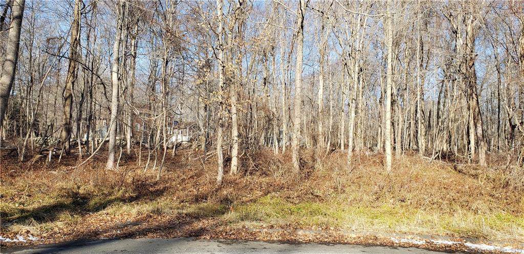 10 Pleasant Hill Lane - Photo 1