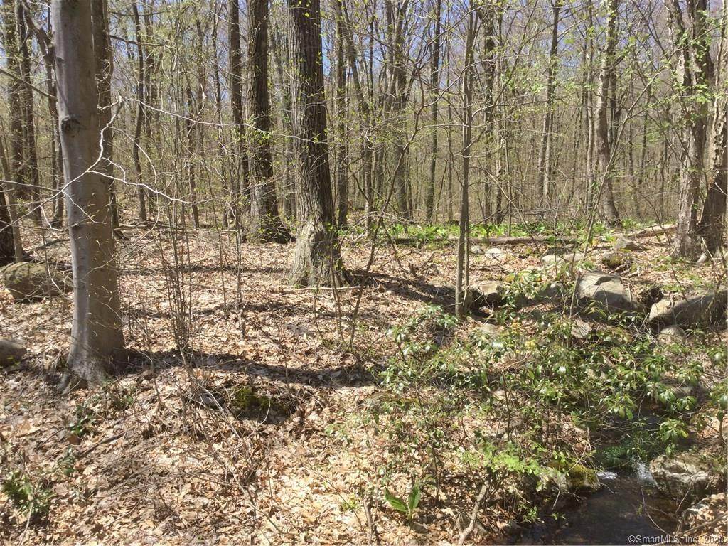 0 Clark Hill Road - Photo 1