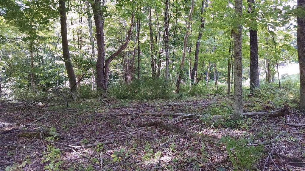 811 Pucker Street - Photo 1
