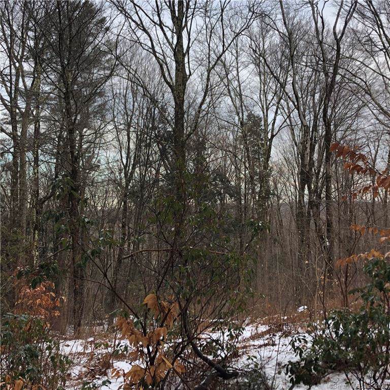49 Estey Road - Photo 1