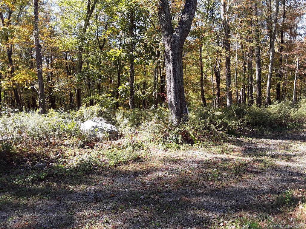 813 Pucker Street - Photo 1
