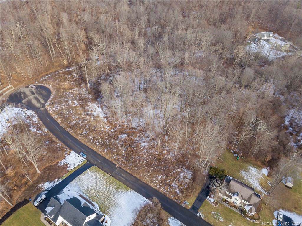0 Blue Hills (Lot 6) Drive - Photo 1