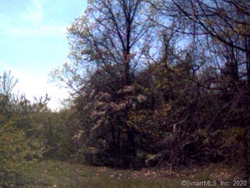 0 Pleasant Valley Road - Photo 1