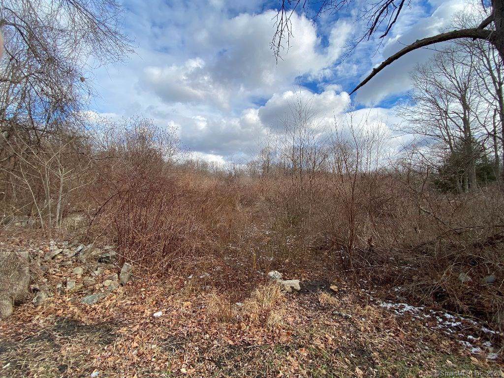 394 Judd Road - Photo 1