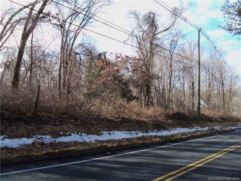 100 Bucks Hill Road - Photo 1