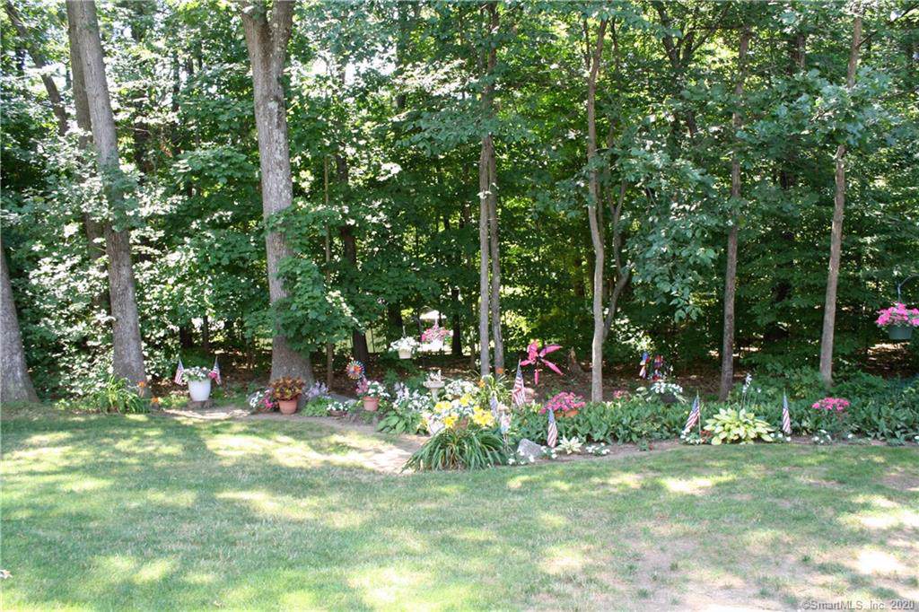 702 Timber Lane - Photo 1
