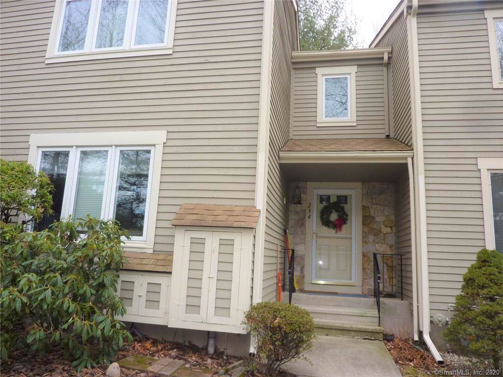 234 Snow Owl Drive - Photo 1
