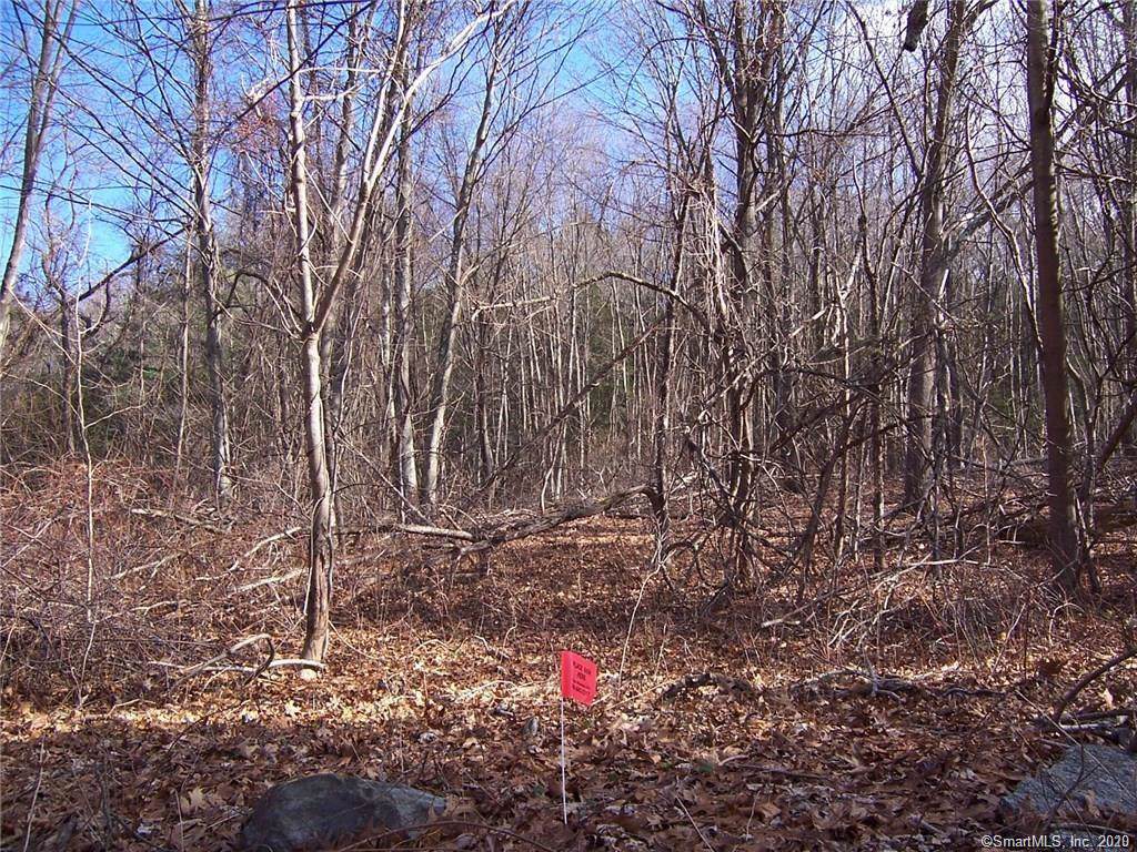 12-7-20 Derby Neck Road - Photo 1