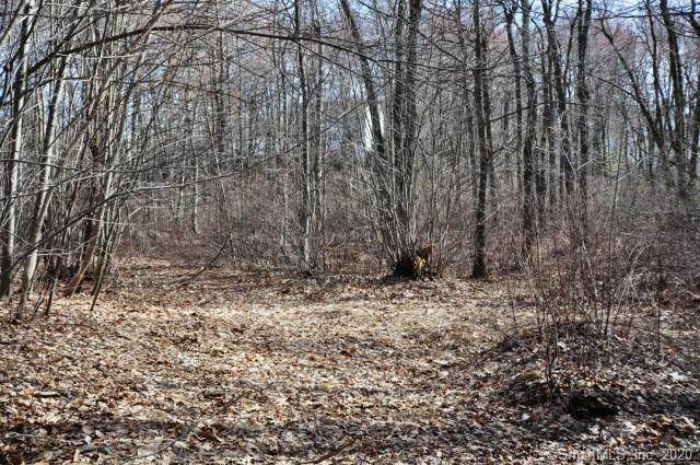 21 Roy Mountain Road - Photo 1