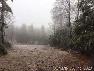 Lot 6-8B Gavitt Road - Photo 1