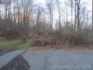 Lot#96R Morning Dove Road - Photo 1