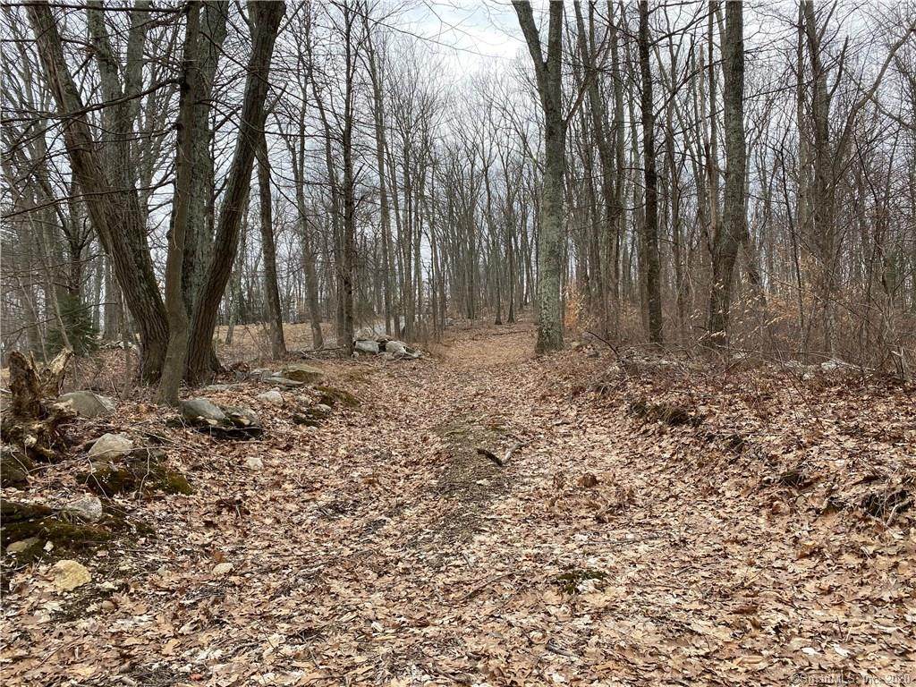 LOT 4 Shoddy Mill Road - Photo 1