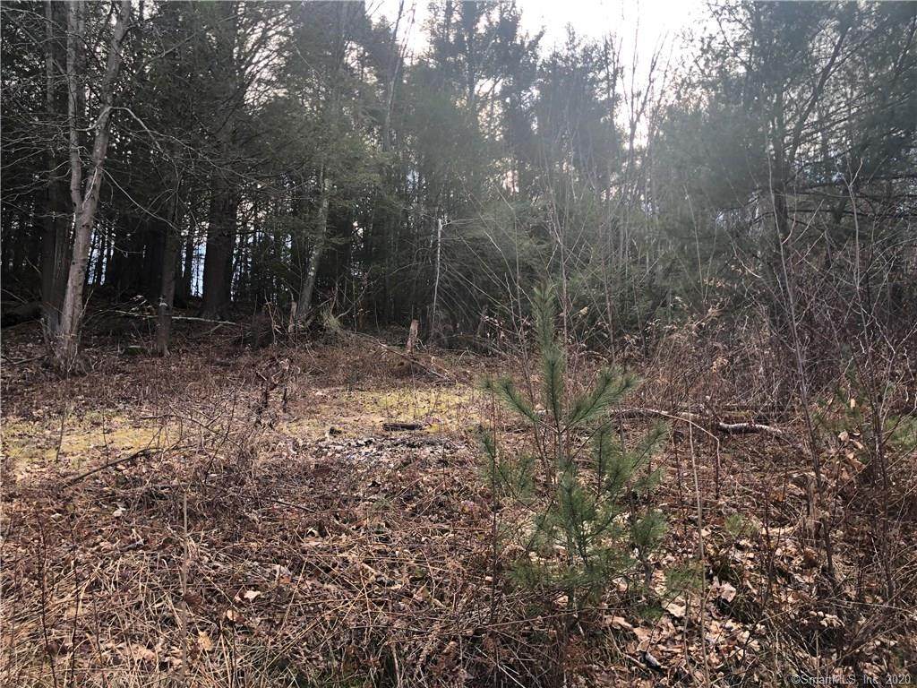 89 Pine Hill Road - Photo 1