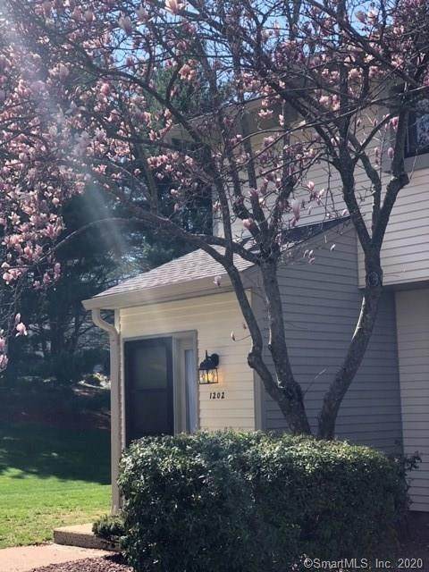 1202 Summer Hill Drive - Photo 1
