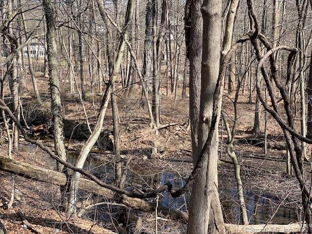0 Wire Mill Road - Photo 1