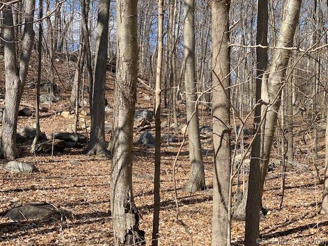0 Rocky Rapids Road - Photo 1