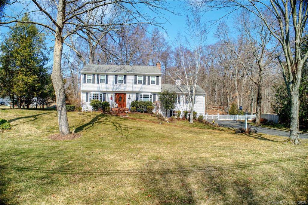 81 Blueberry Lane - Photo 1