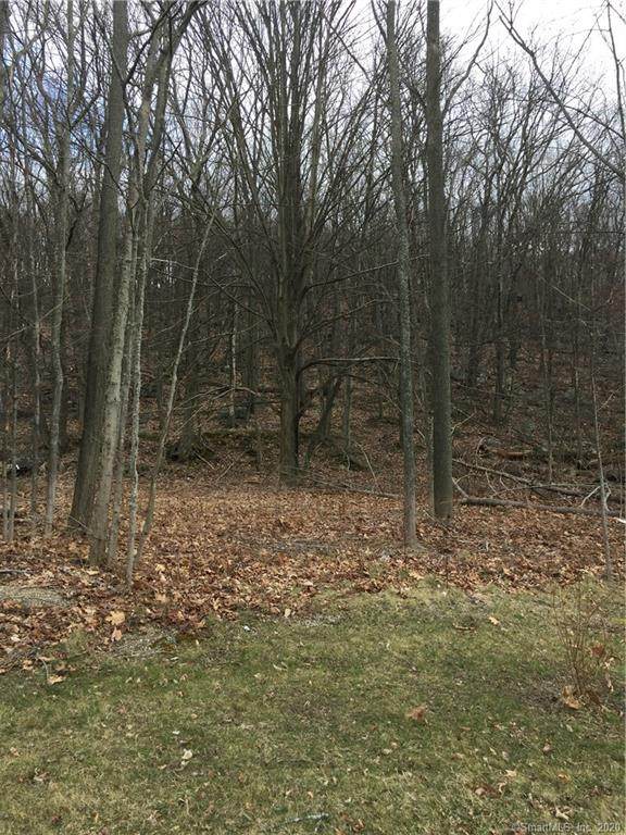 0 Pearl Lake Road - Photo 1