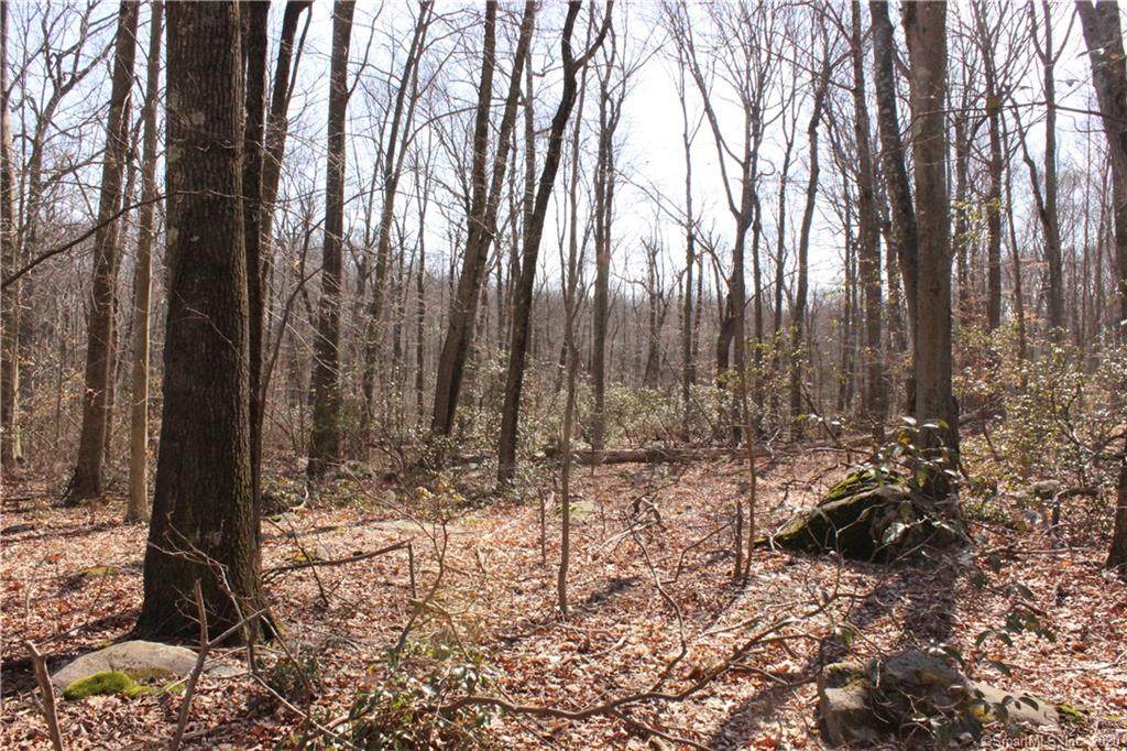 0 Deforest Road - Photo 1
