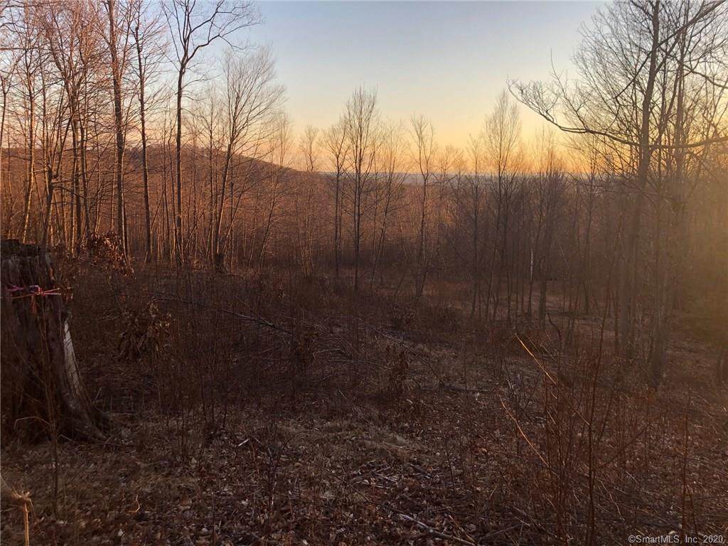0 Porter Road - Photo 1