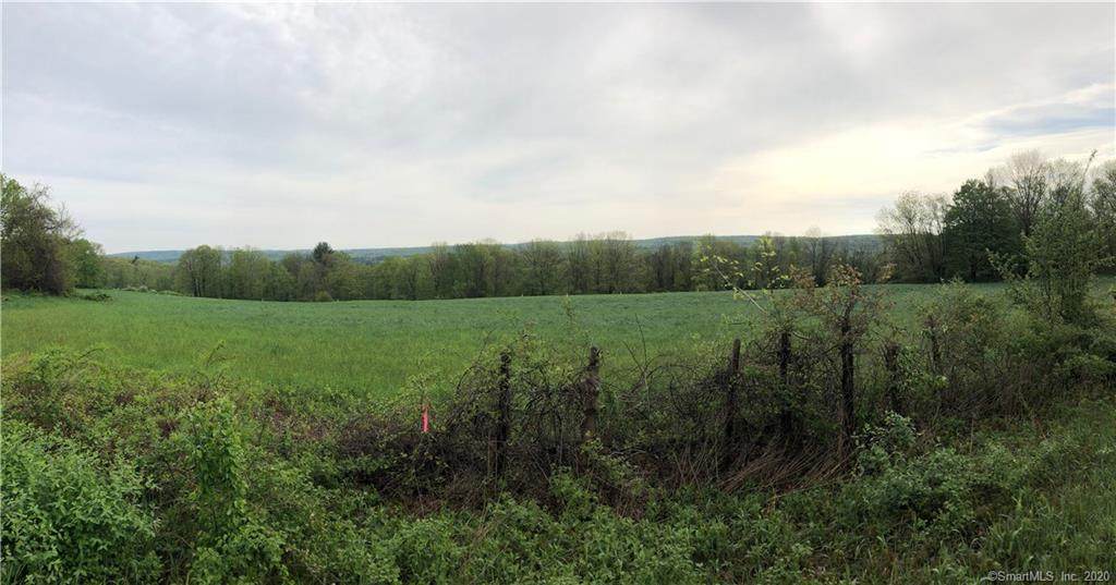 596 Hill Road - Photo 1