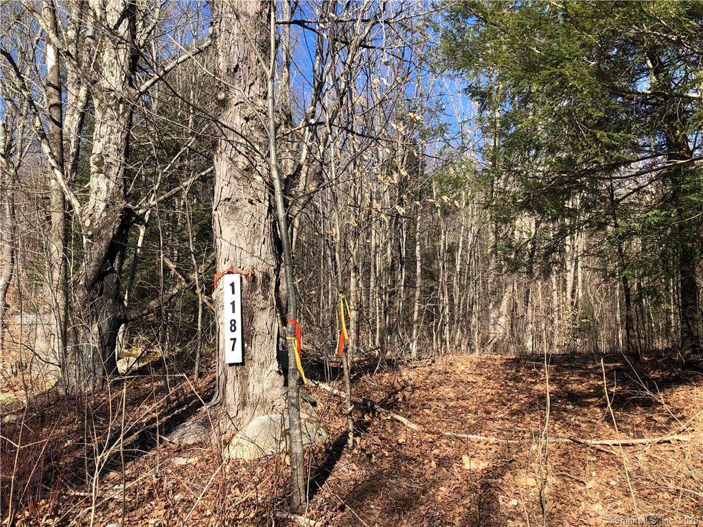 1187 Litchfield Road - Photo 1