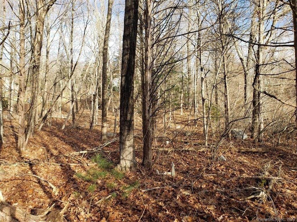 66 Larkey Road - Photo 1