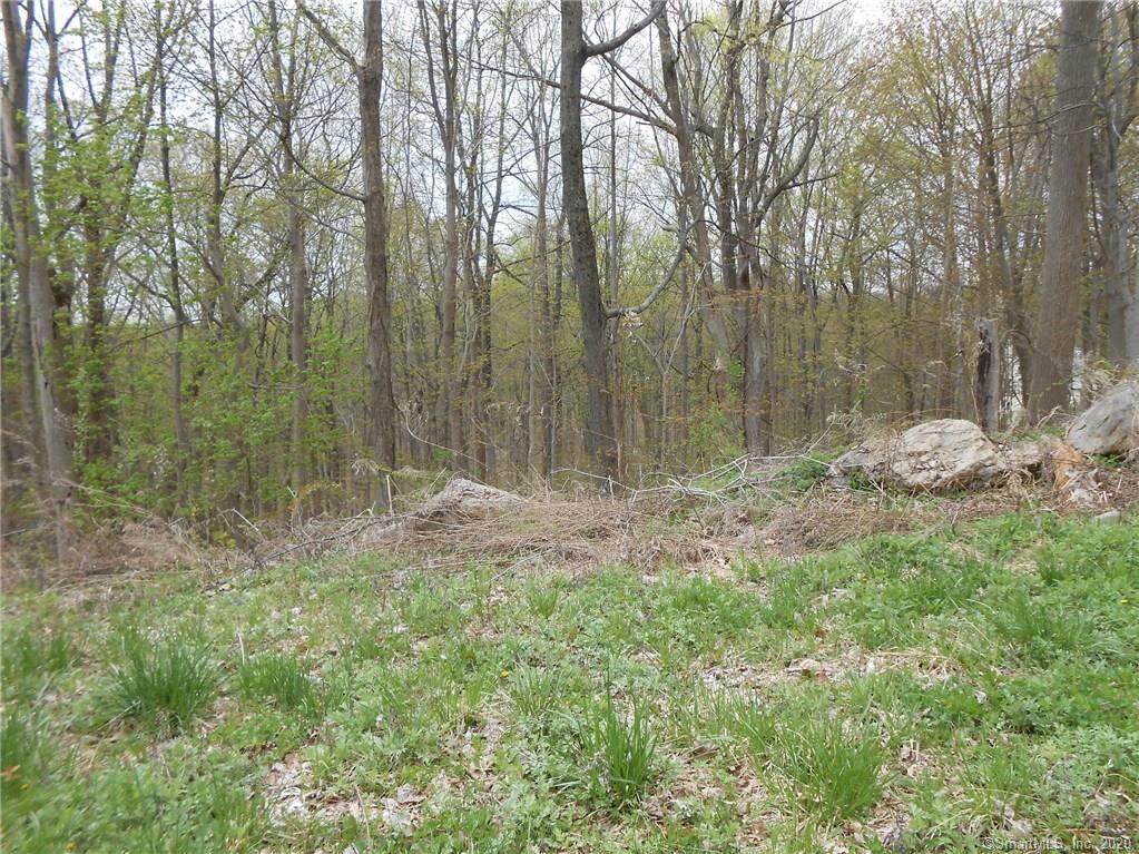 21 Grandview Drive - Photo 1