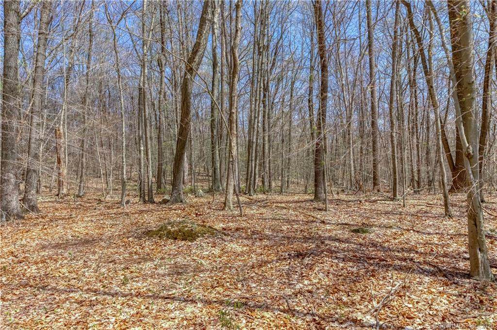 00 Beaver Dam Road - Photo 1
