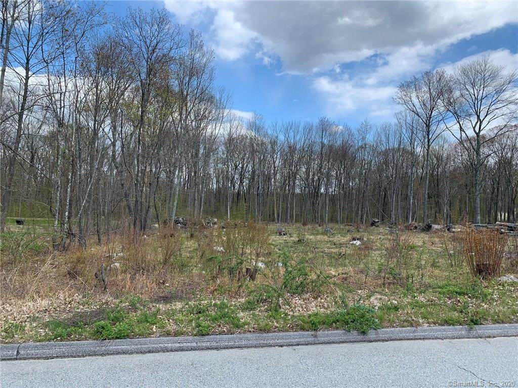 4-2 Usher Swamp Road - Photo 1