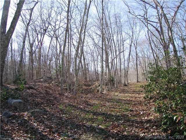 43-2 Saunders Hollow Road - Photo 1